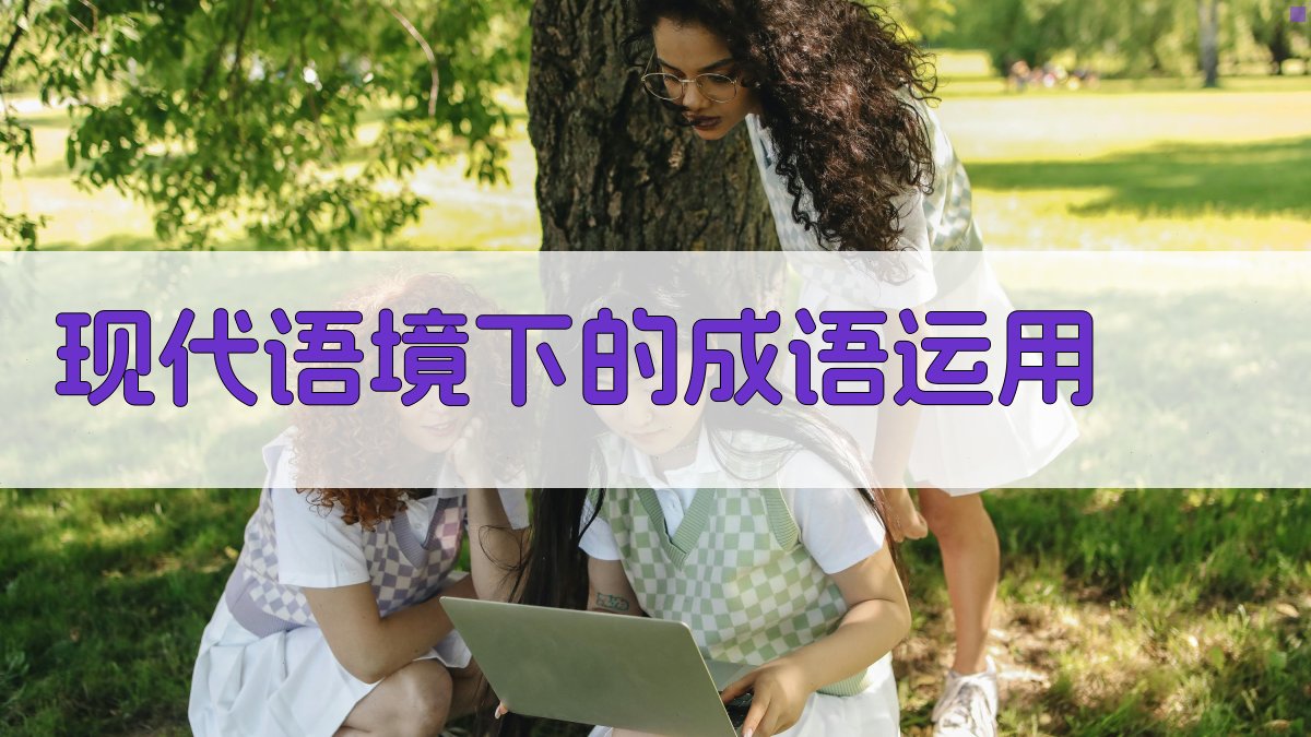 现代语境下的成语运用 图3