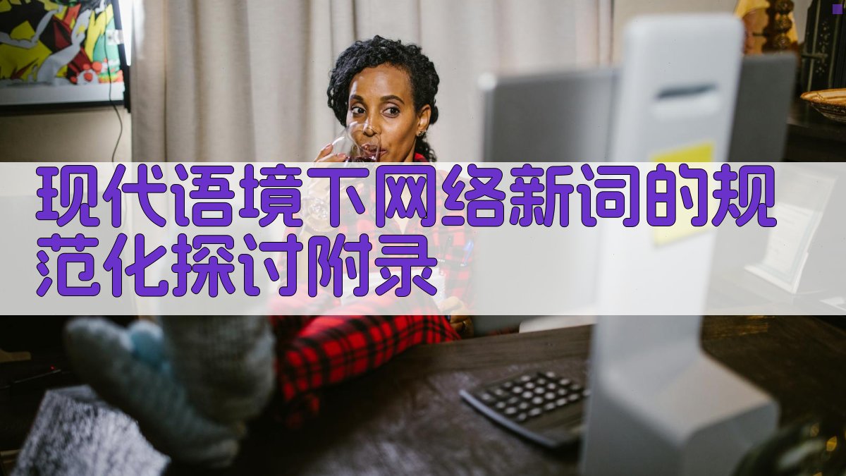 现代语境下网络新词的规范化探讨 · 附录 图4