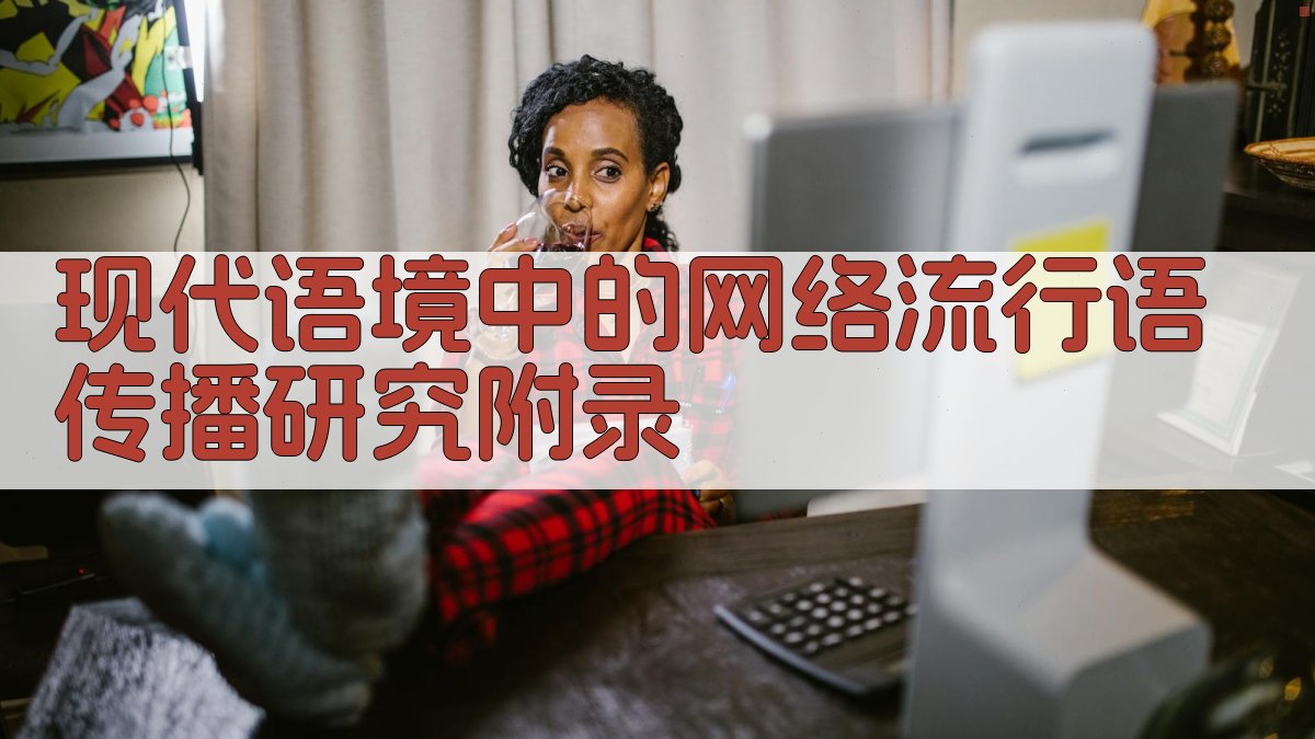 现代语境中的网络流行语传播研究 · 附录 图4