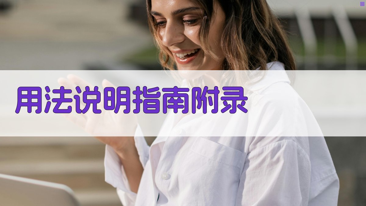 用法说明指南 · 附录 图4