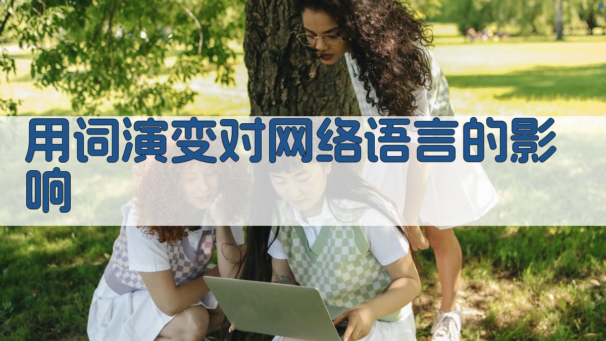 用词演变对网络语言的影响 图2