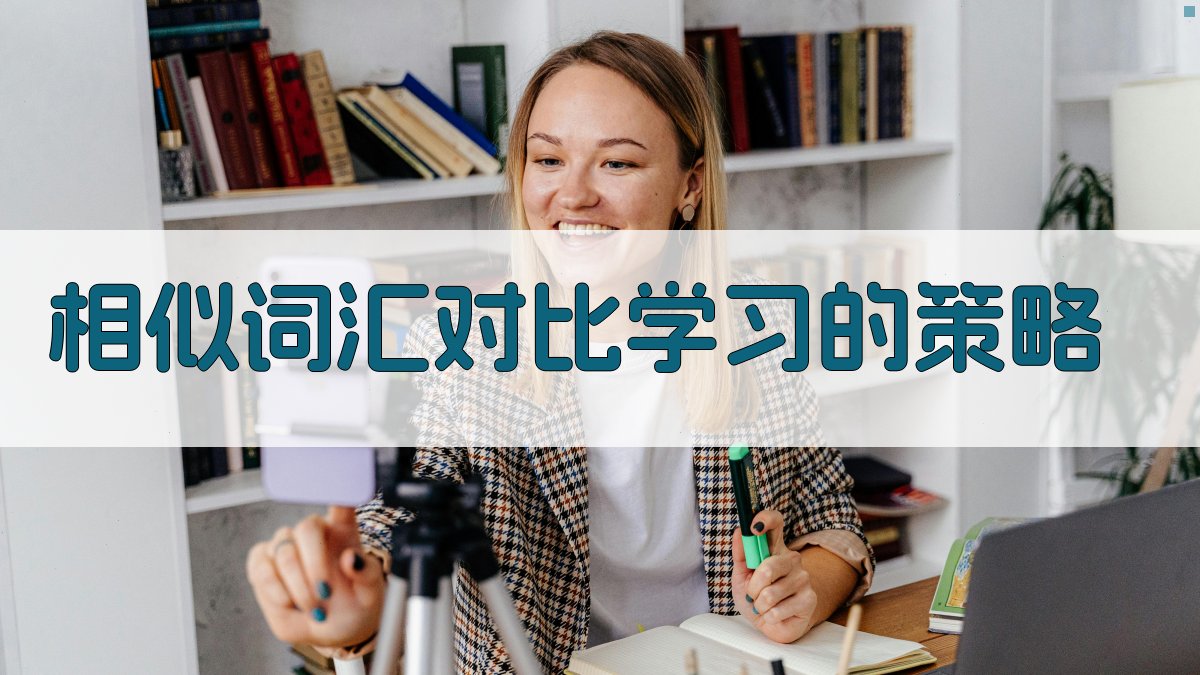 相似词汇对比学习的策略 图5