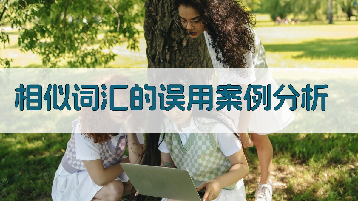 相似词汇的误用案例分析 图1