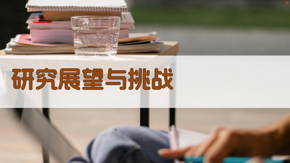 研究展望与挑战 图2