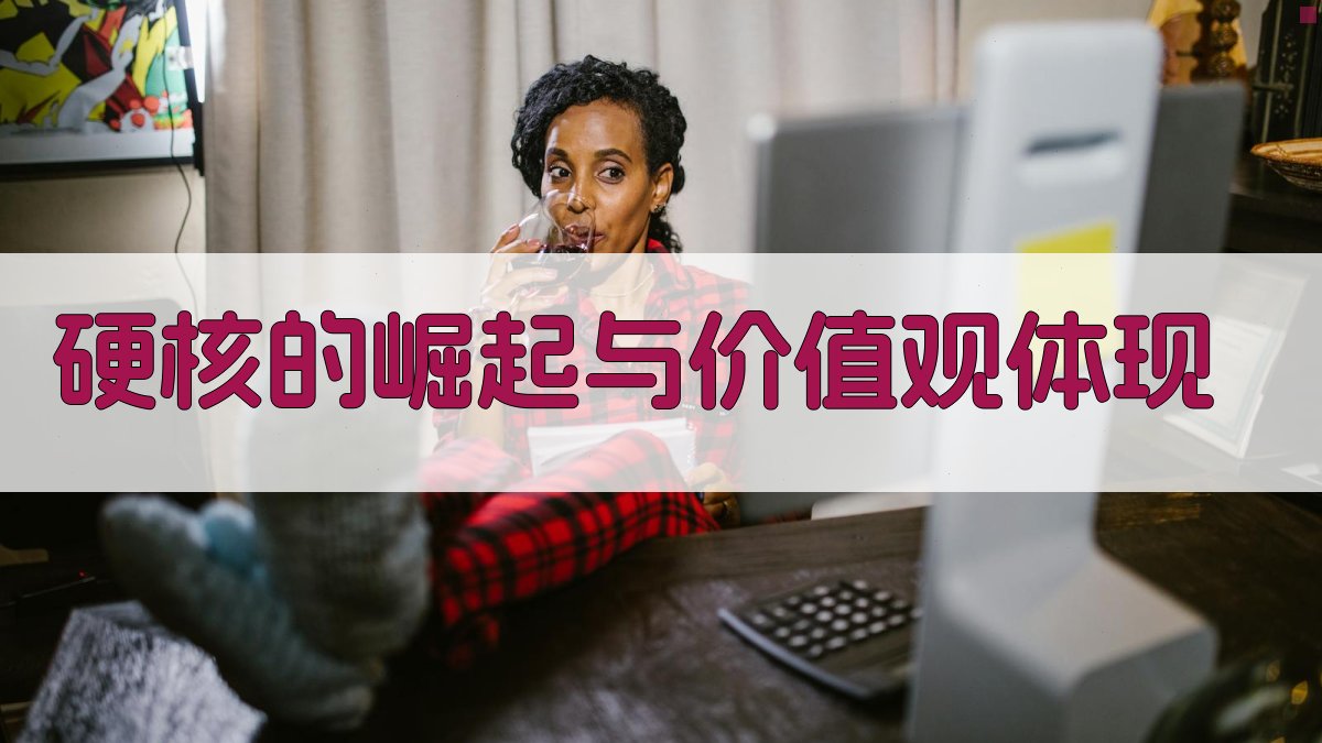 “硬核”的崛起与价值观体现 图1