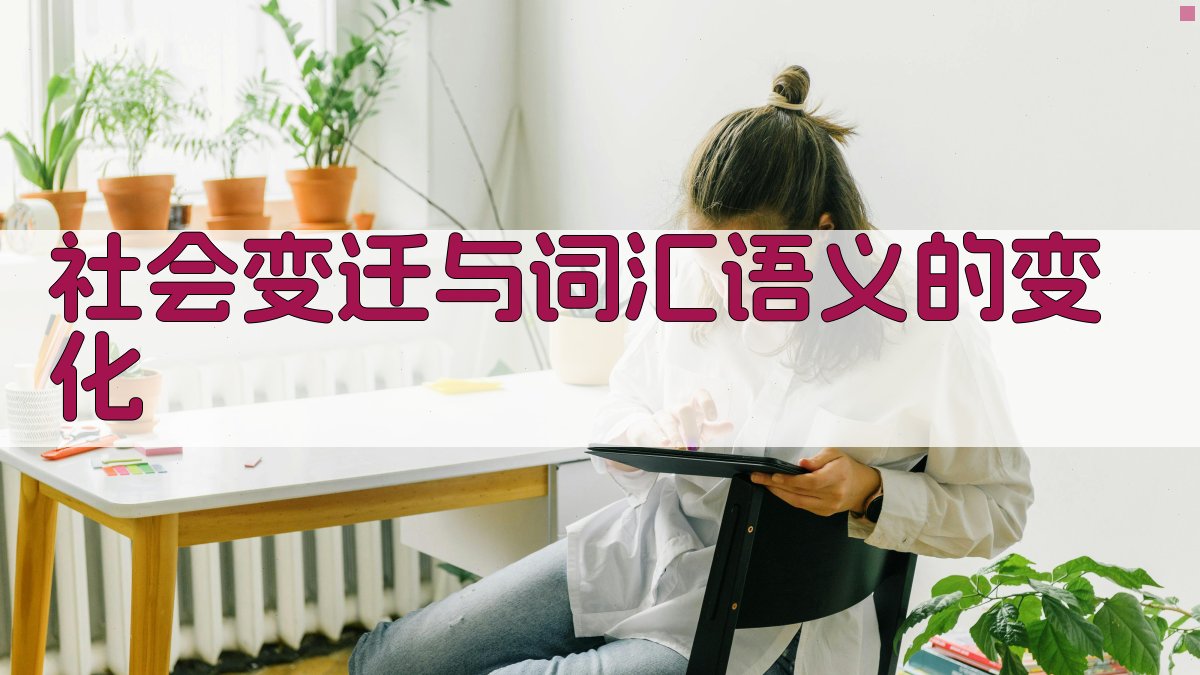 社会变迁与词汇语义的变化 图3