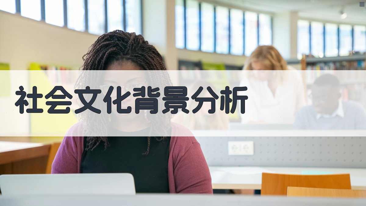 社会文化背景分析 图2