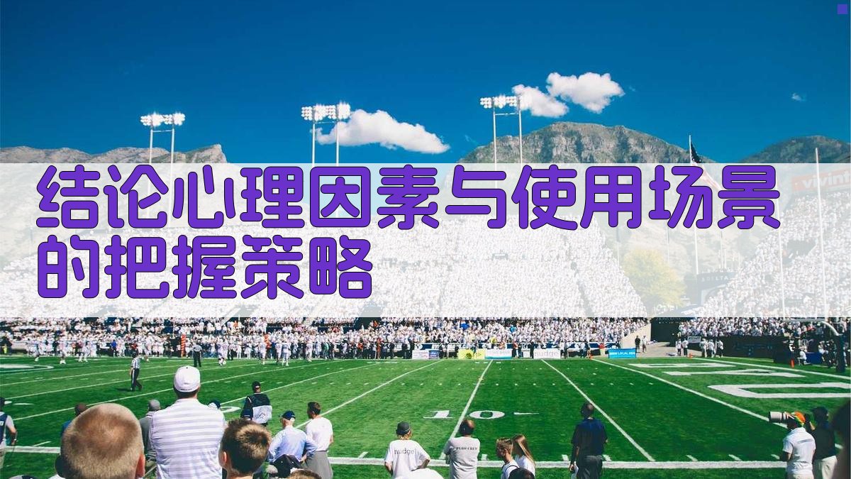 结论心理因素与使用场景的把握策略 图2