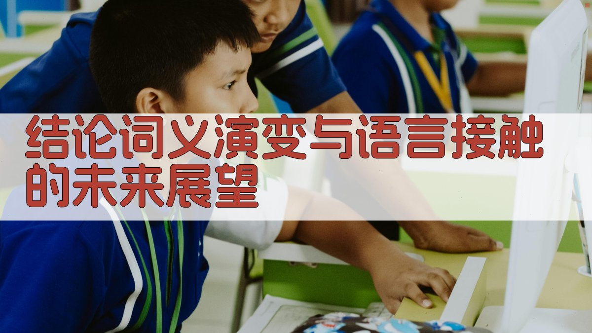 结论词义演变与语言接触的未来展望 图4