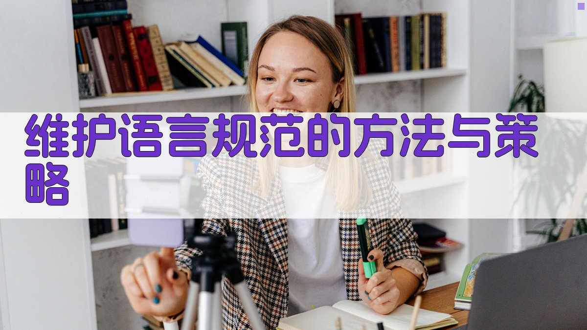 维护语言规范的方法与策略 图3