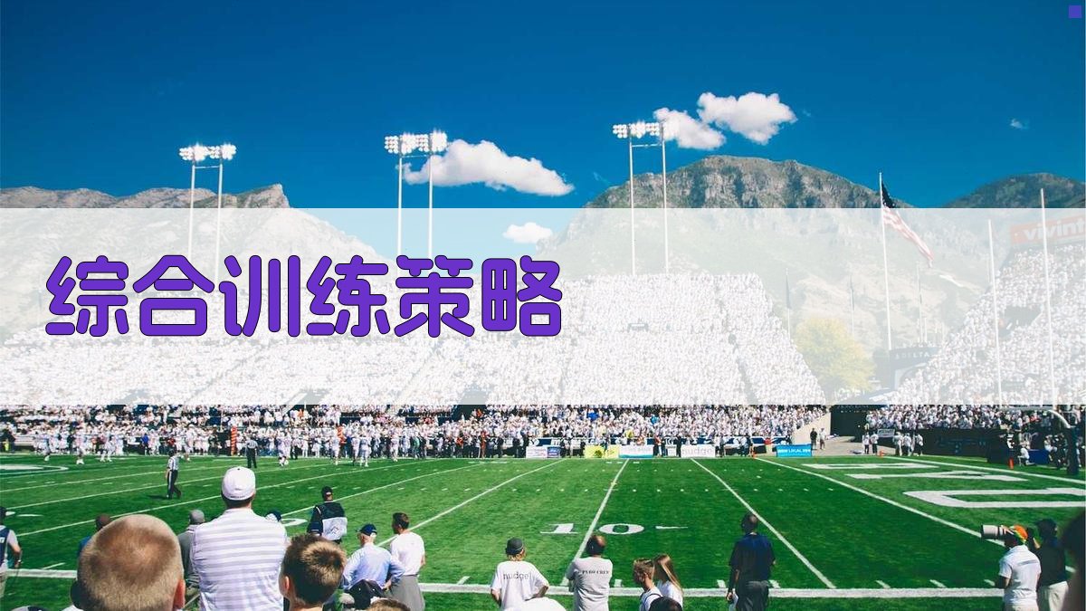 综合训练策略 图5