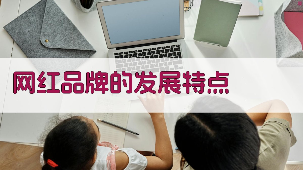网红品牌的发展特点 图2