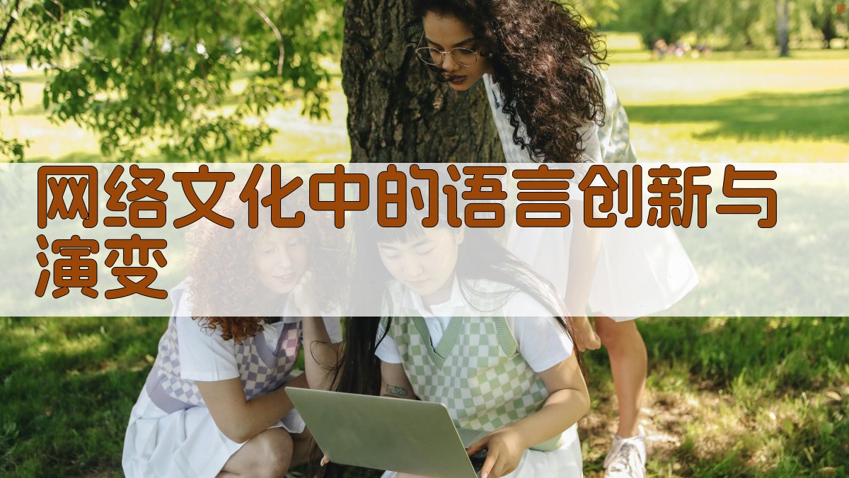网络文化中的语言创新与演变 图3