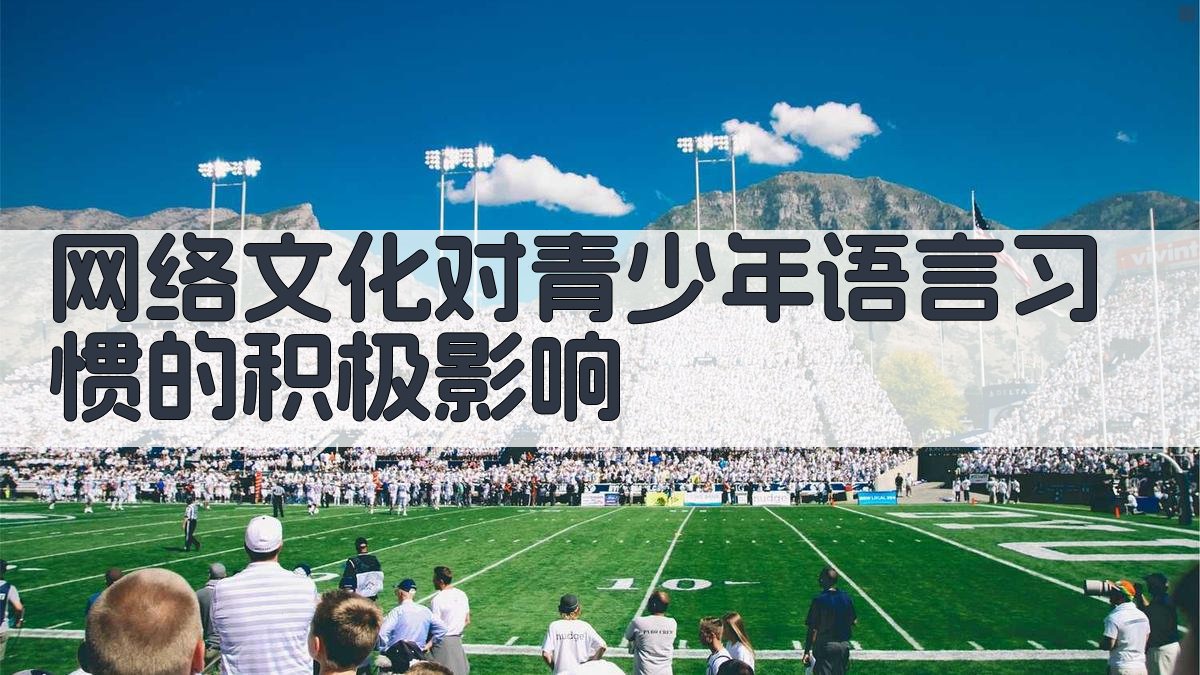 网络文化对青少年语言习惯的积极影响 图2