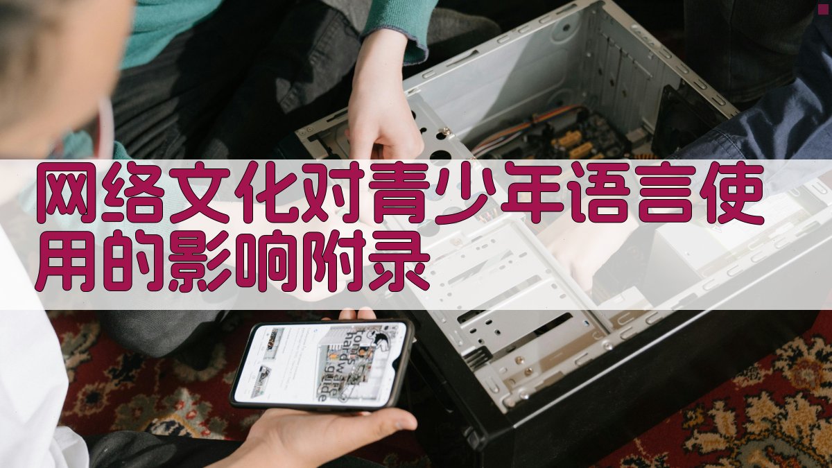 网络文化对青少年语言使用的影响 · 附录 图5