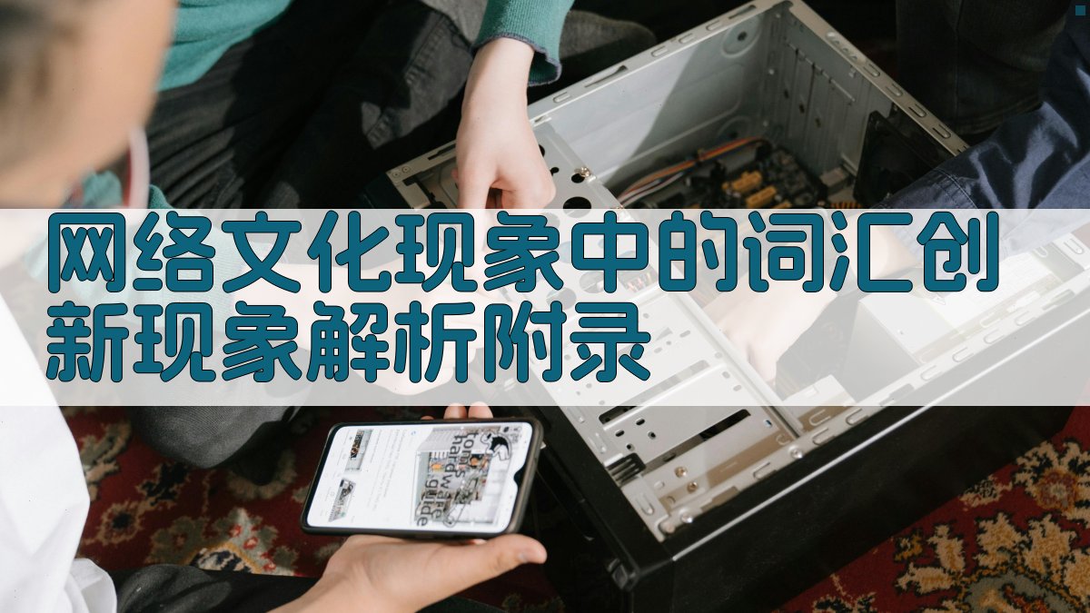 网络文化现象中的词汇创新现象解析 · 附录 图3
