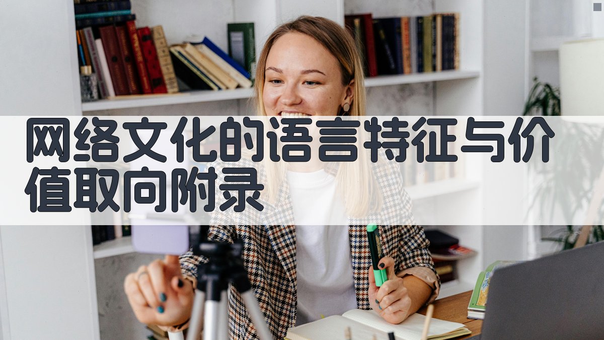 网络文化的语言特征与价值取向 · 附录 图5