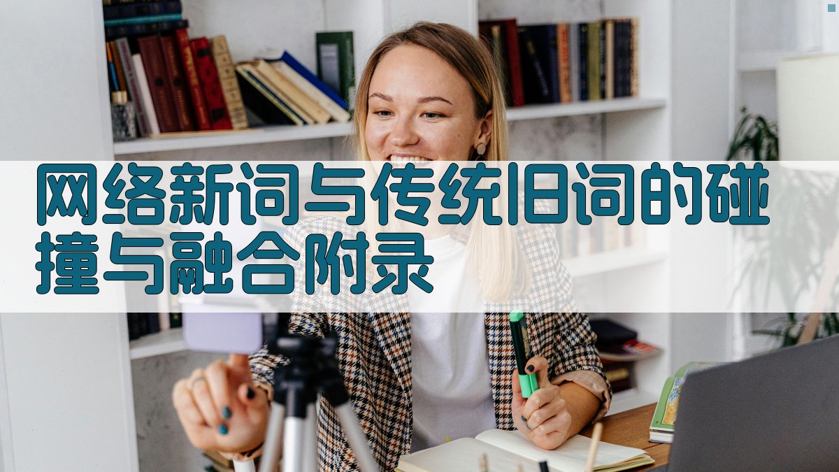 网络新词与传统旧词的碰撞与融合 · 附录 图1