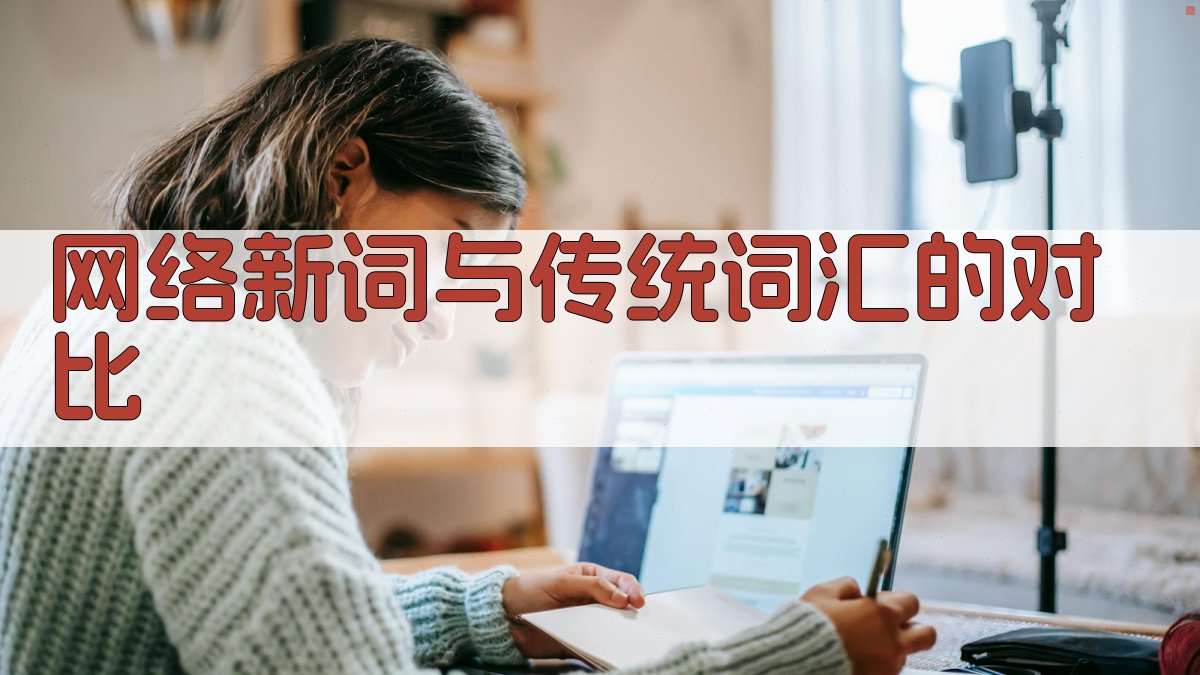 网络新词与传统词汇的对比 图3