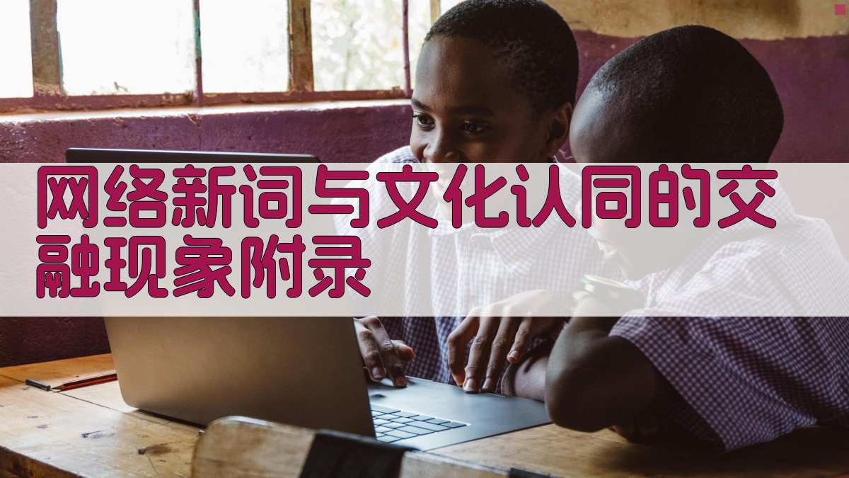 网络新词与文化认同的交融现象 · 附录 图5