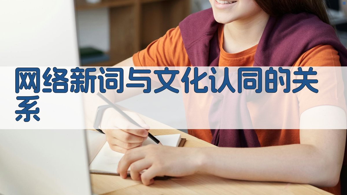 网络新词与文化认同的关系 图2