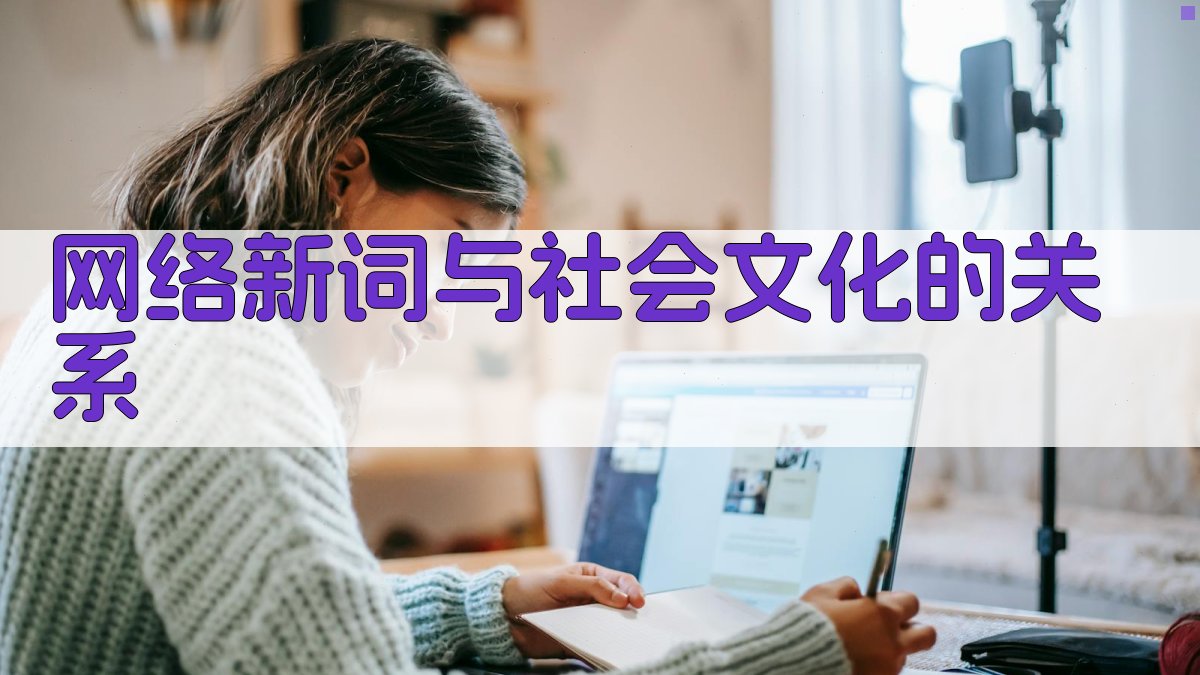 网络新词与社会文化的关系 图4