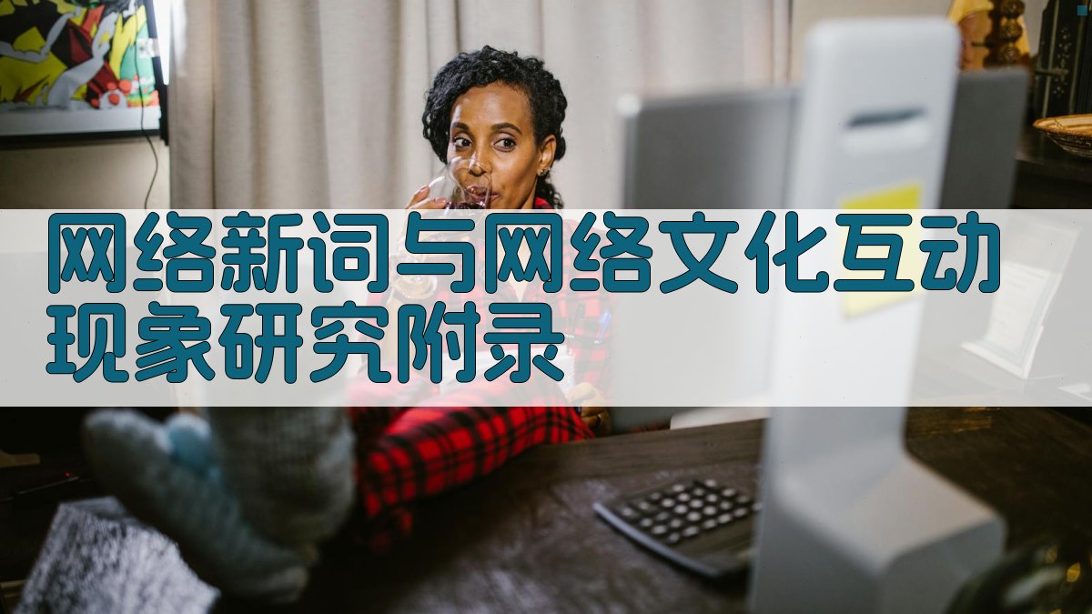 网络新词与网络文化互动现象研究 · 附录 图4