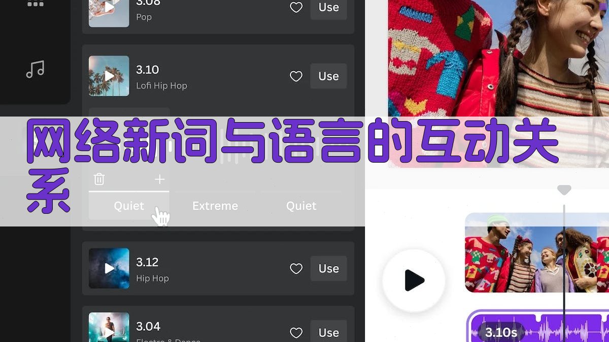 网络新词与语言的互动关系 图3