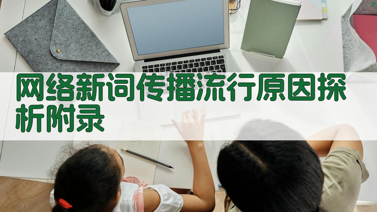 网络新词传播流行原因探析 · 附录 图1