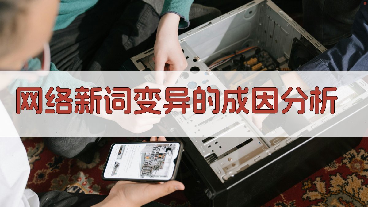 网络新词变异的成因分析 图2