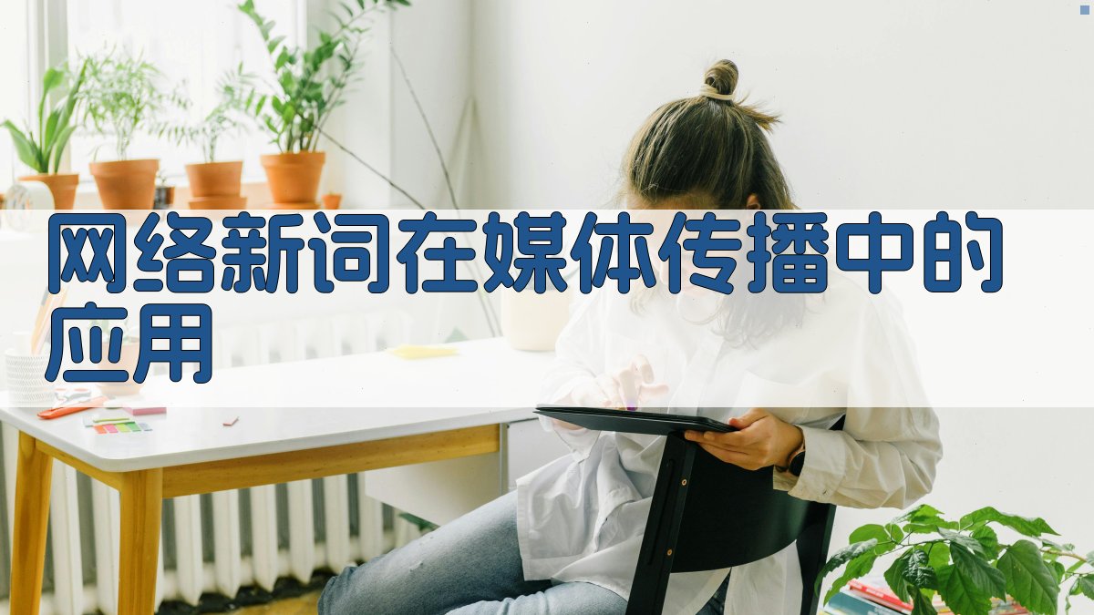 网络新词在媒体传播中的应用 图2