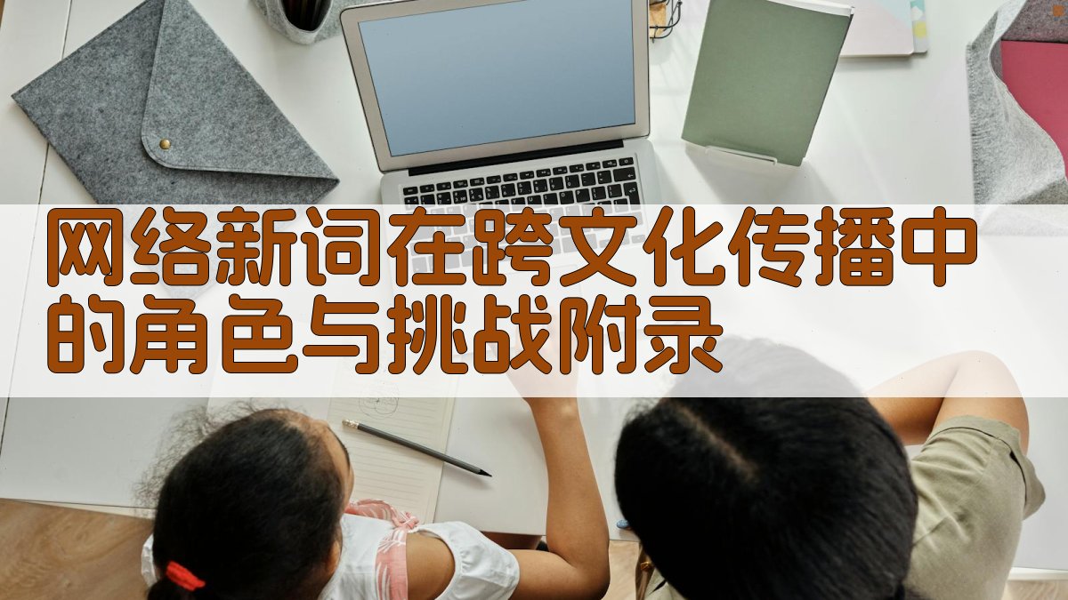 网络新词在跨文化传播中的角色与挑战 · 附录 图5