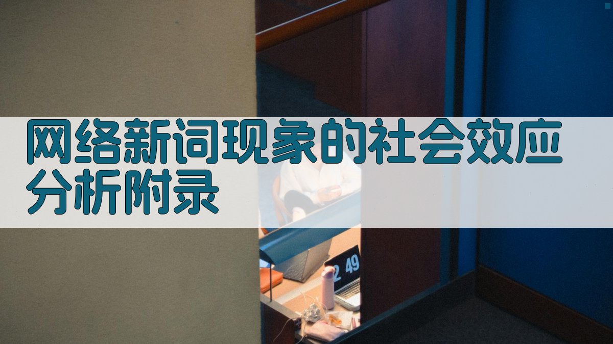 网络新词现象的社会效应分析 · 附录 图4