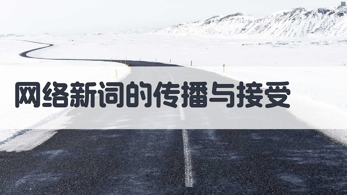 网络新词的传播与接受 图3