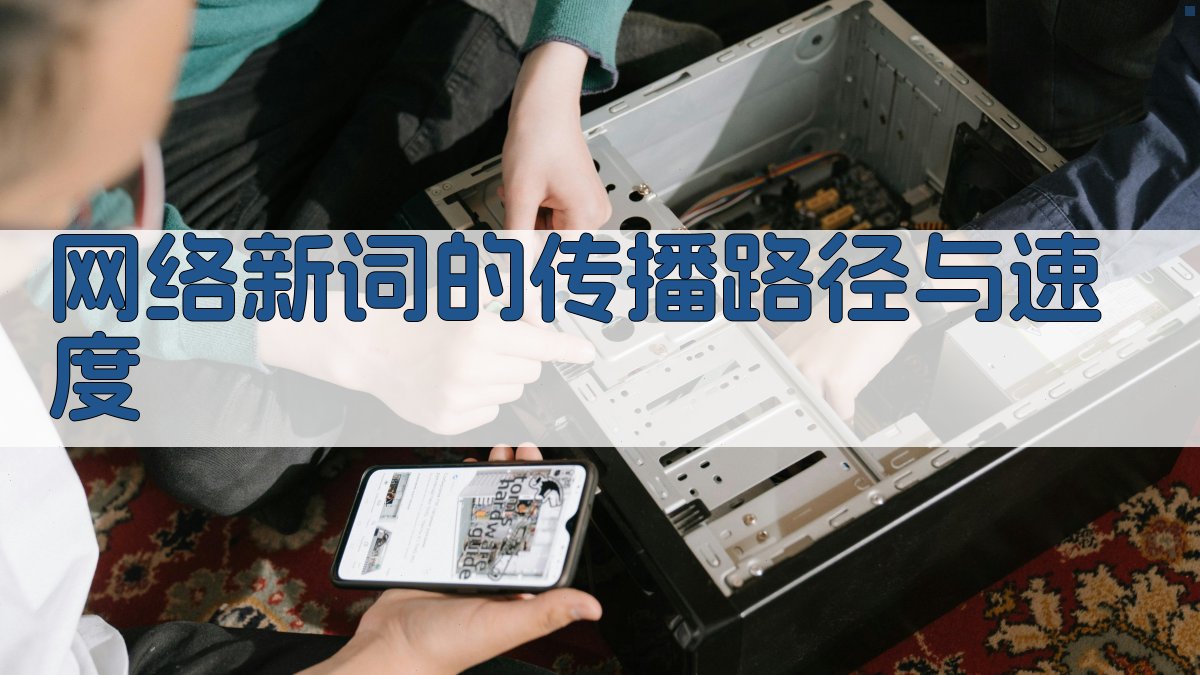 网络新词的传播路径与速度 图2