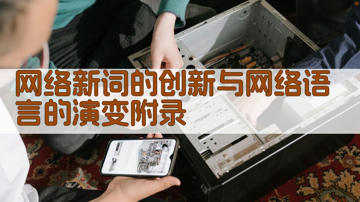 网络新词的创新与网络语言的演变 · 附录 图4