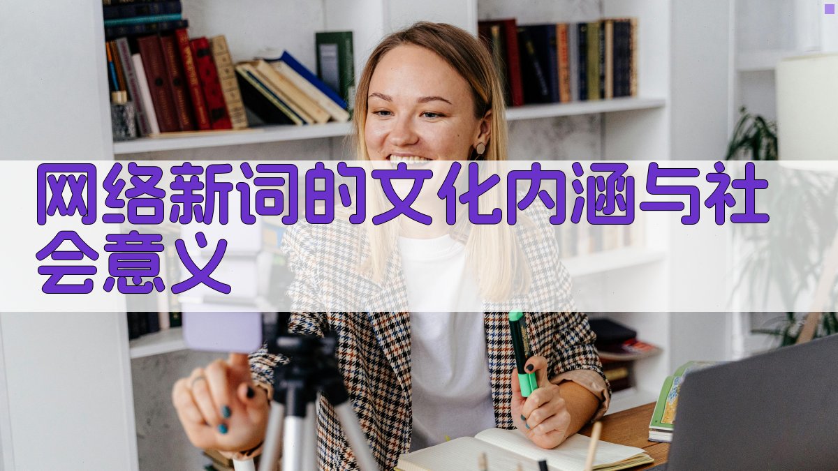 网络新词的文化内涵与社会意义 图3