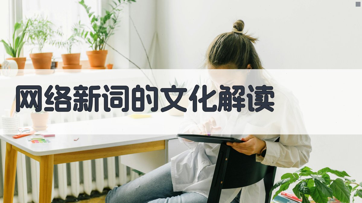 网络新词的文化解读 图3