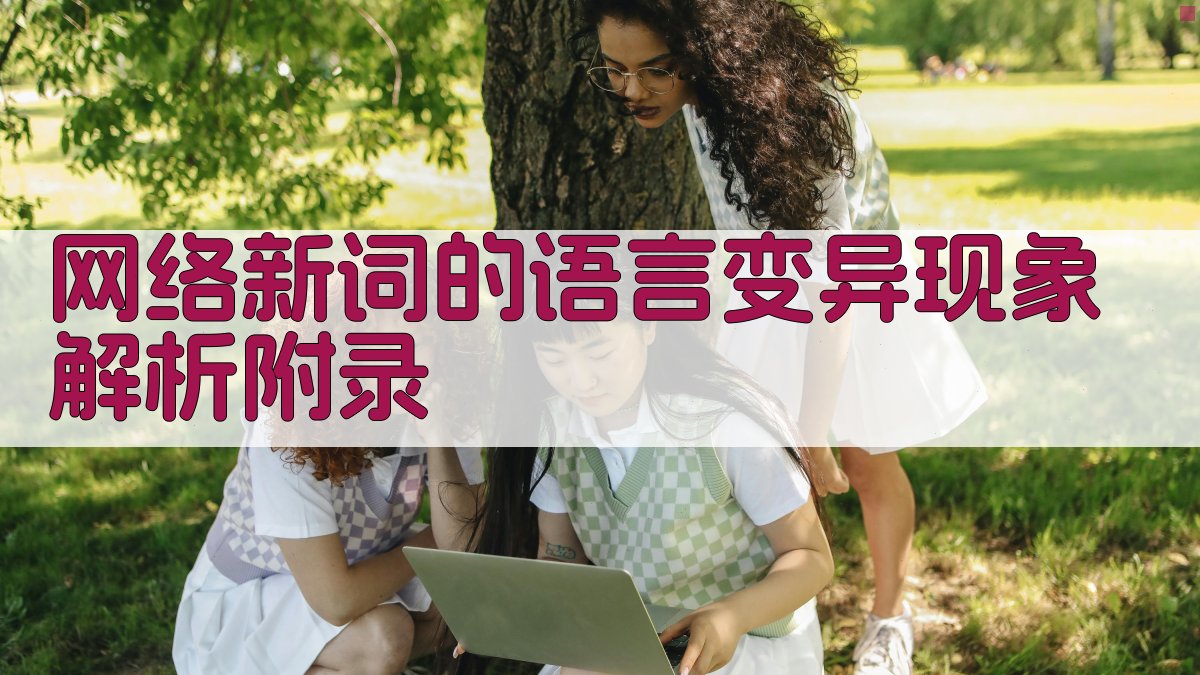网络新词的语言变异现象解析 · 附录 图5