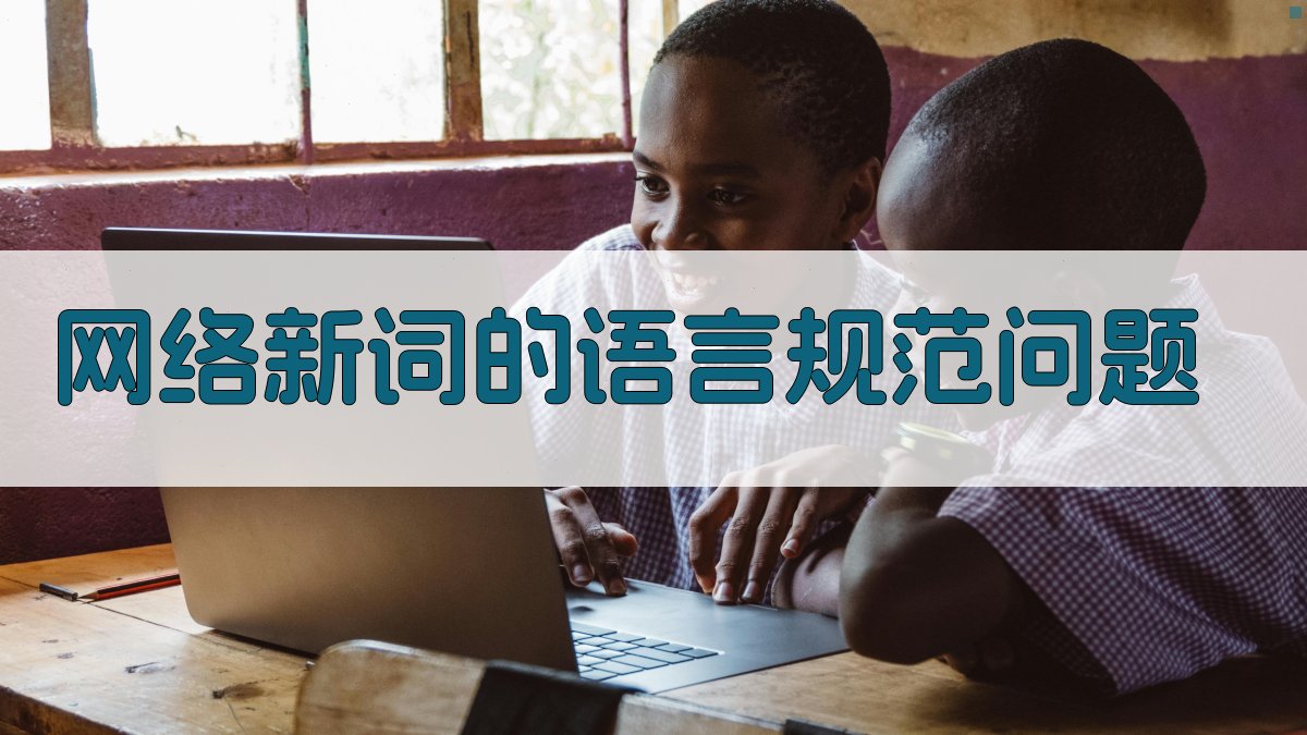 网络新词的语言规范问题 图2