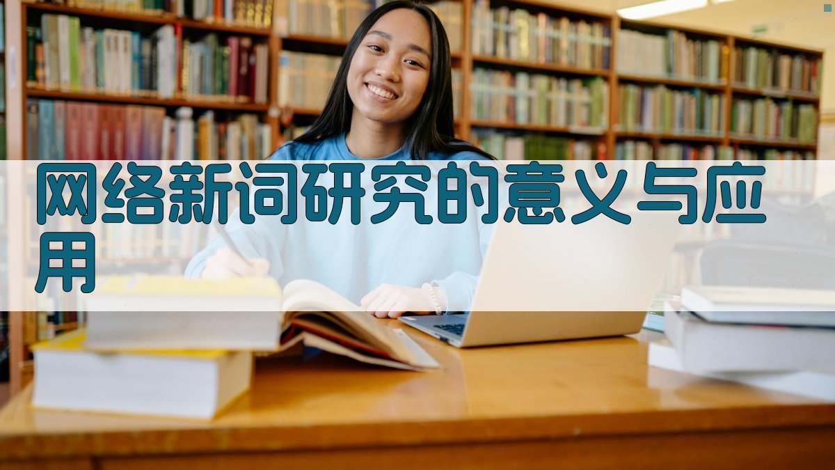 网络新词研究的意义与应用 图3