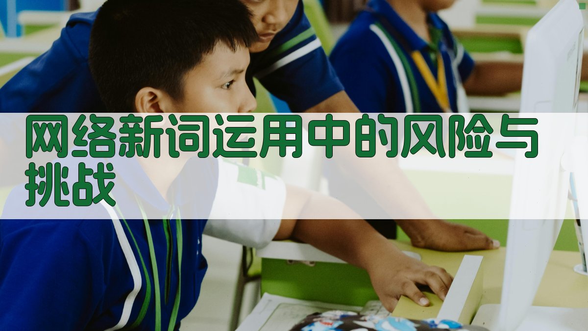 网络新词运用中的风险与挑战 图3