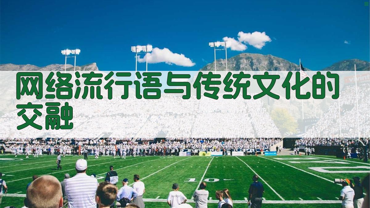 网络流行语与传统文化的交融 图4