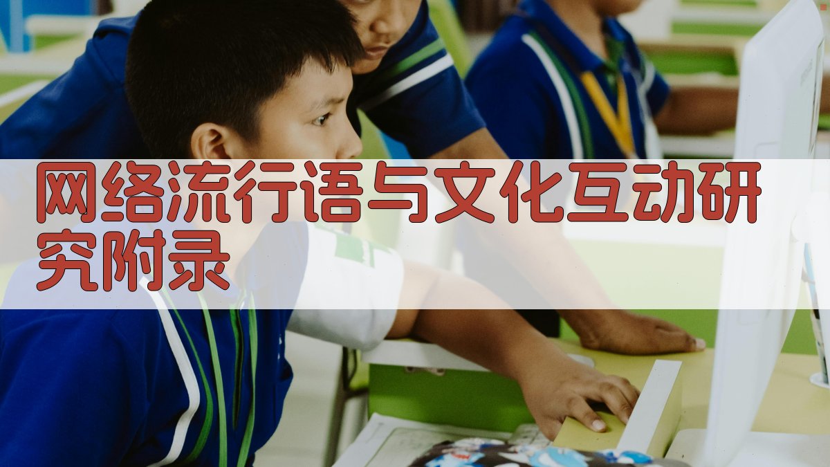 网络流行语与文化互动研究 · 附录 图4