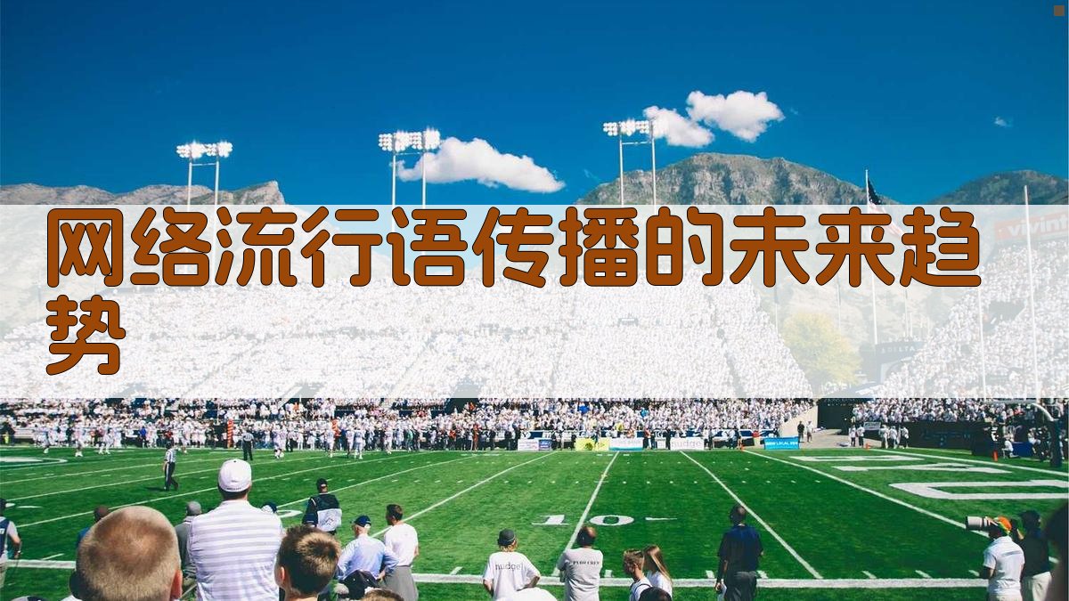 网络流行语传播的未来趋势 图4