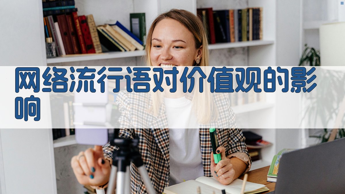 网络流行语对价值观的影响 图2