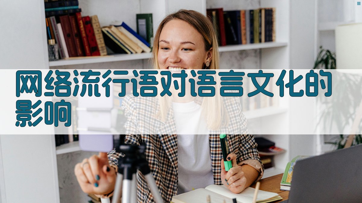 网络流行语对语言文化的影响 图2