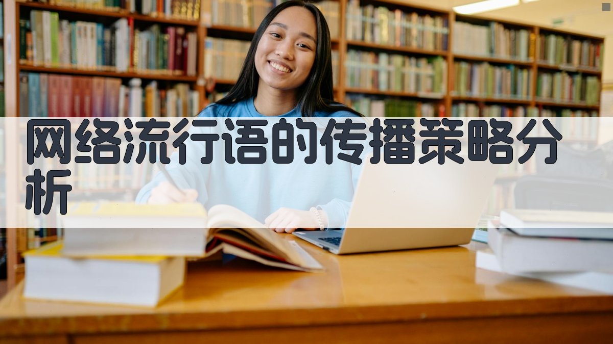 网络流行语的传播策略分析 图3