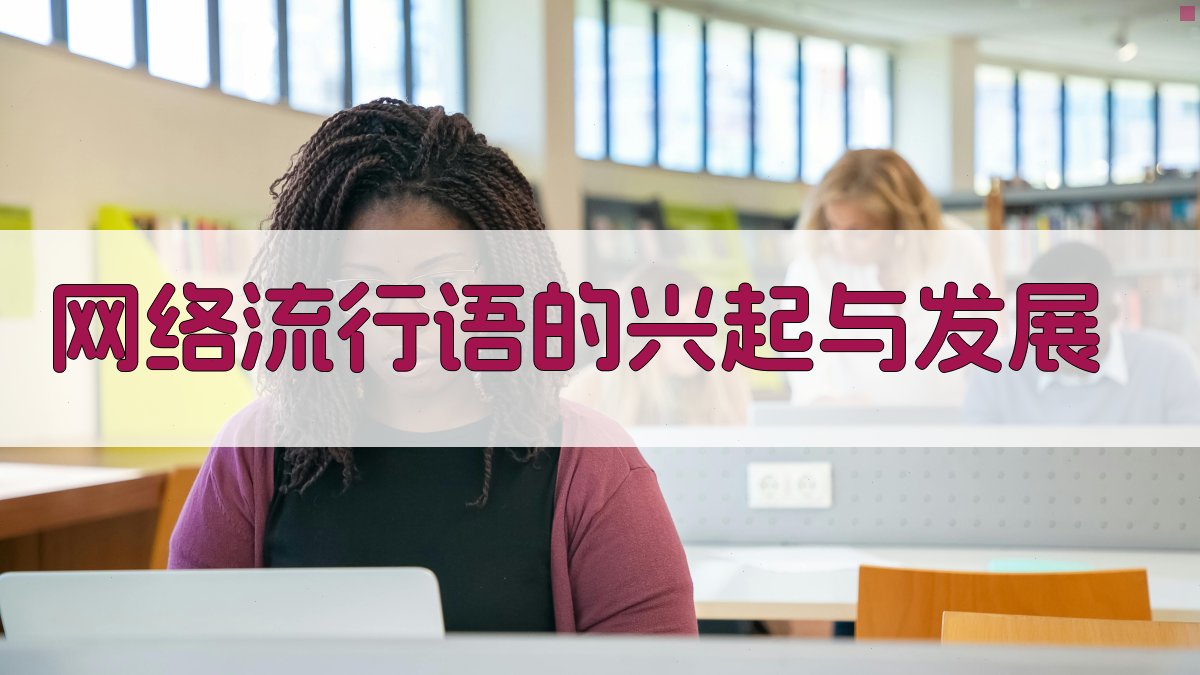 网络流行语的兴起与发展 图1