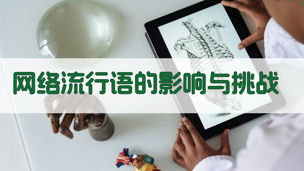 网络流行语的影响与挑战 图2